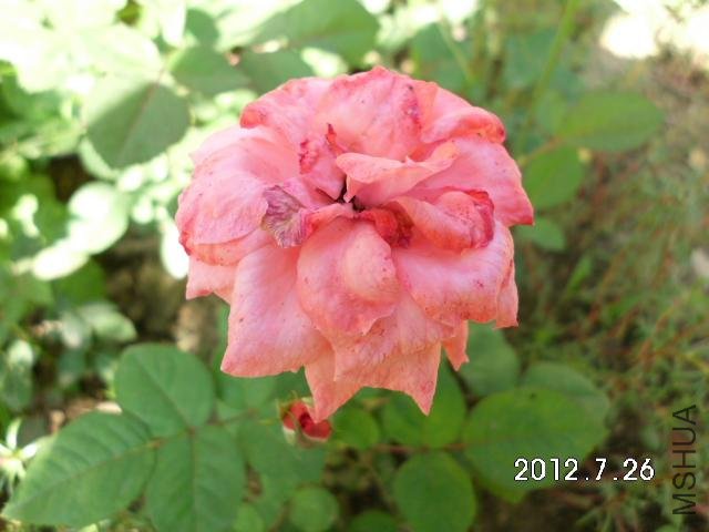 3��ȫ�����뿪��ʱ��û�ģ���Ư����