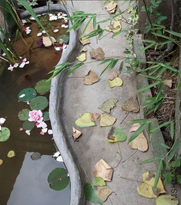 95.jpg