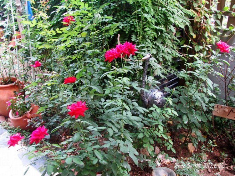 2012.6.23. 036_conew1.jpg