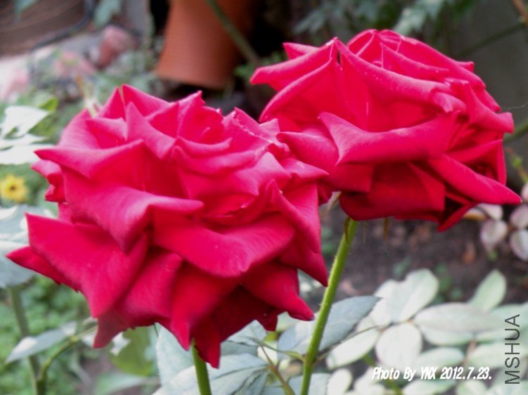 2012.7.23. 024_conew1.jpg