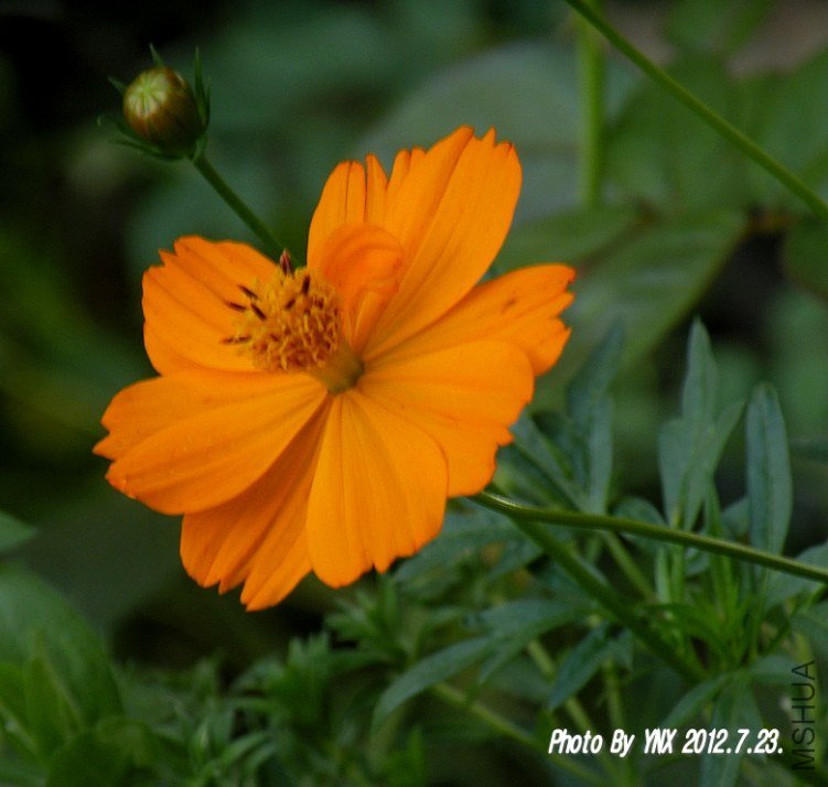 2012.7.23. 013_conew1.jpg