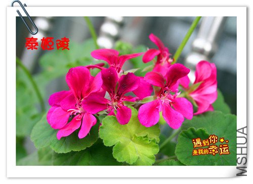 ��Ƭ 001_����.jpg