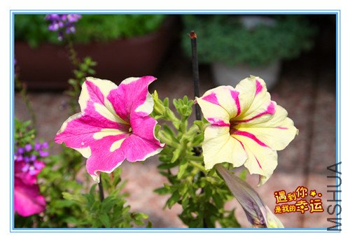 ��Ƭ 026_����M.jpg