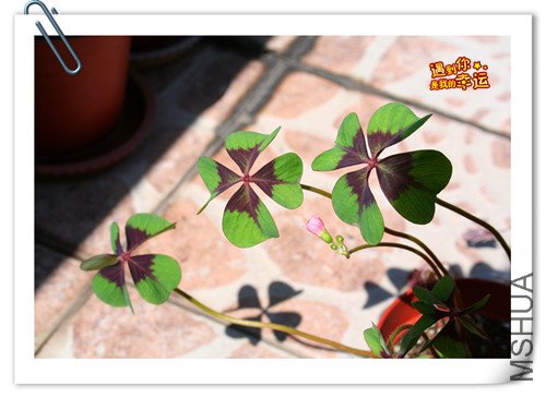 ��Ƭ 079_����.jpg