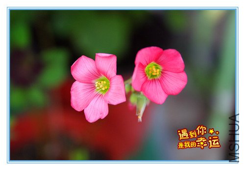 ��Ƭ 051_����.jpg