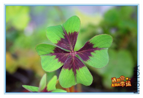 ��Ƭ 055_����.jpg