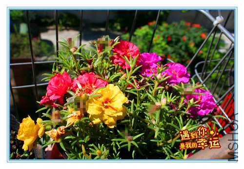 ��Ƭ 085_����.jpg