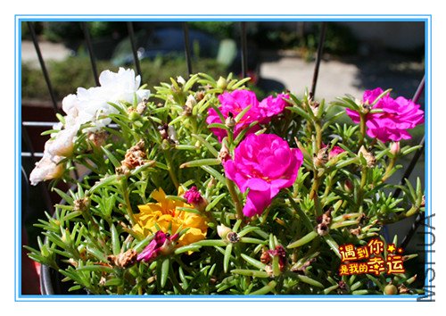 ��Ƭ 089_����.jpg