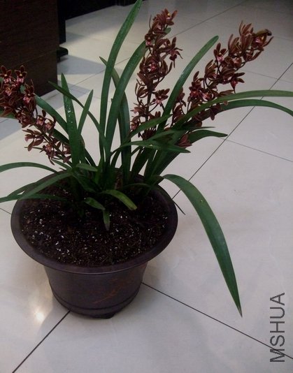 DSCF5383.JPG