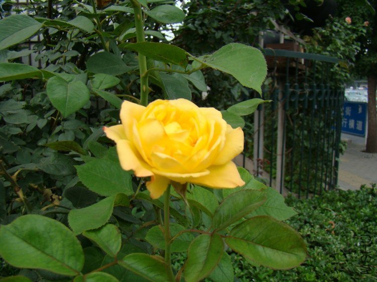 DSC01634.jpg