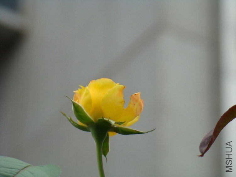 DSC01635.jpg