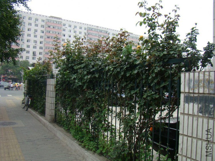 DSC01636.jpg