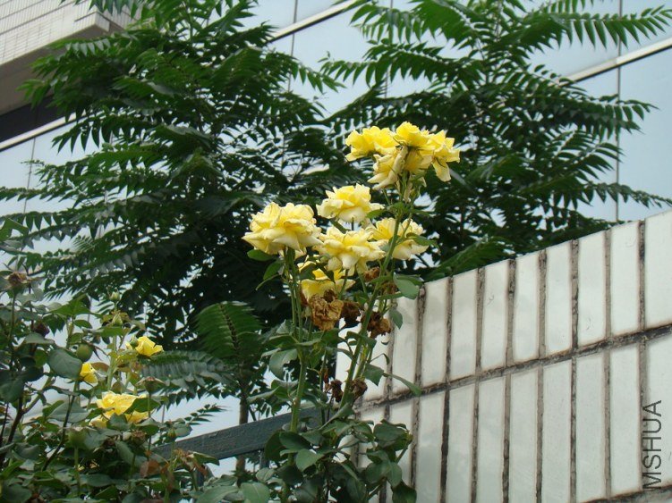 DSC01640.jpg