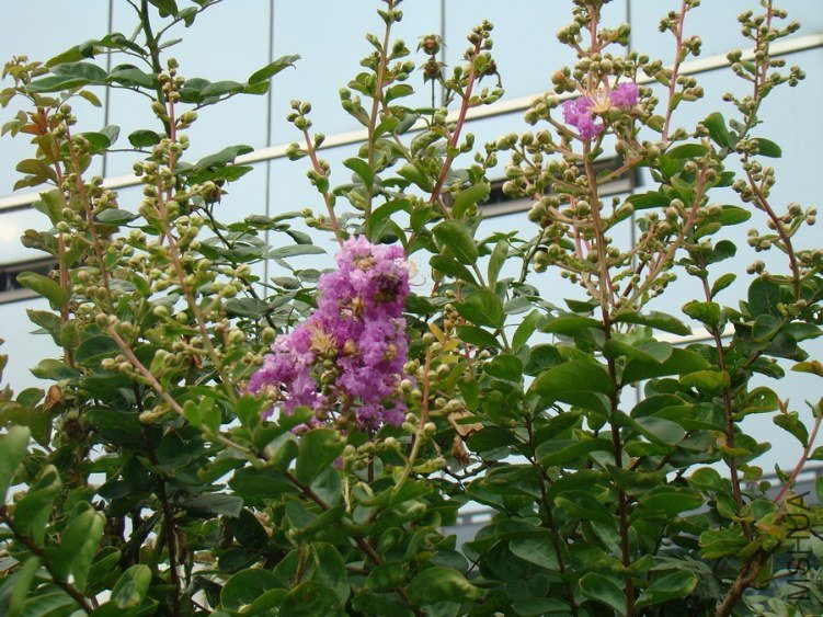 DSC01647.jpg