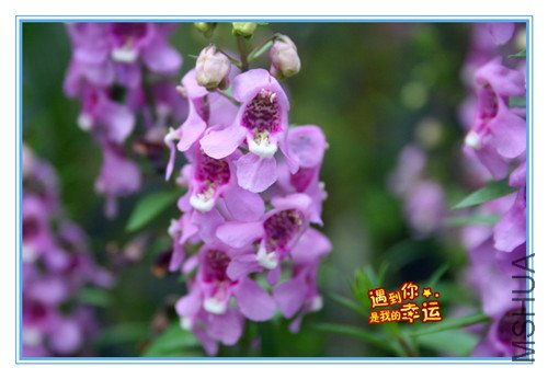 ��Ƭ 074_����.jpg