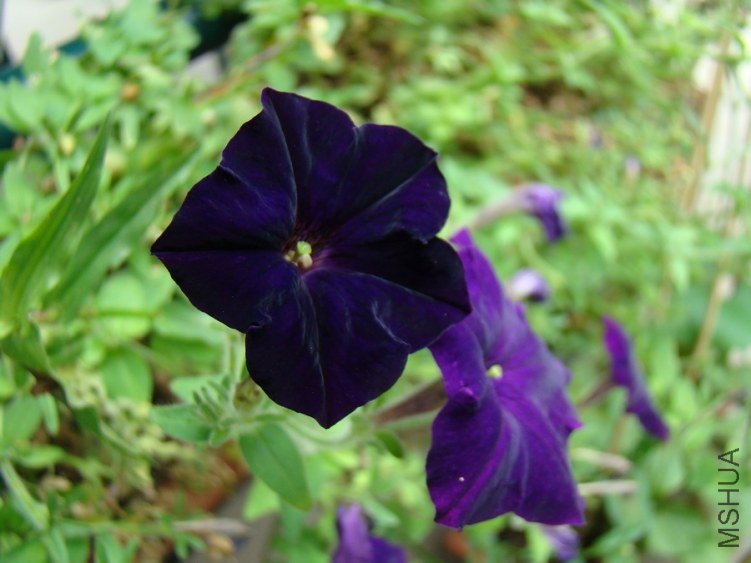 DSC01722.jpg
