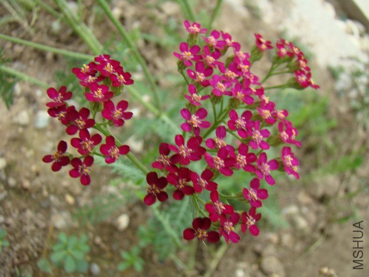 DSC01773.jpg