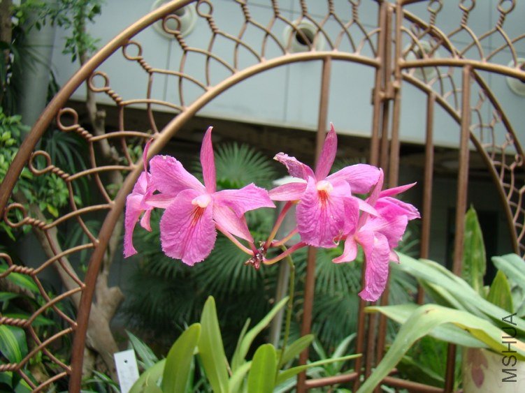 DSC01691.jpg
