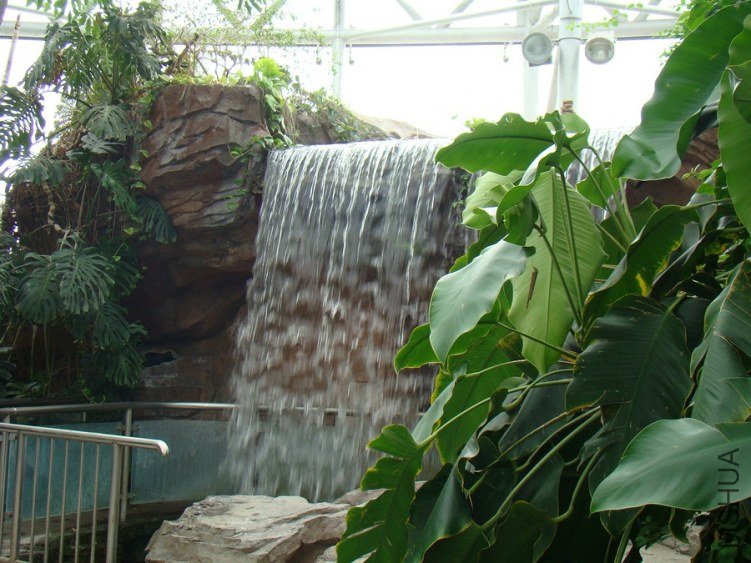 DSC01701.jpg