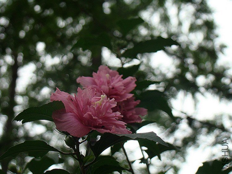 DSC02364.jpg