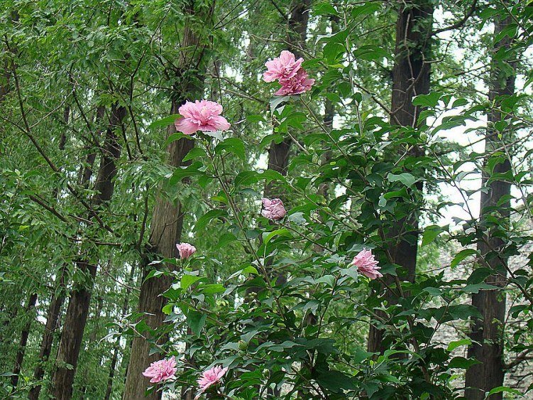 DSC02366.jpg