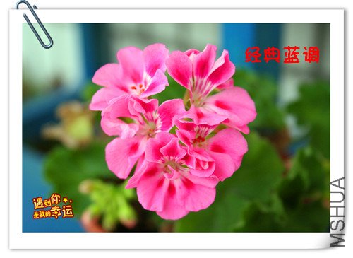 ��Ƭ 006_����.jpg