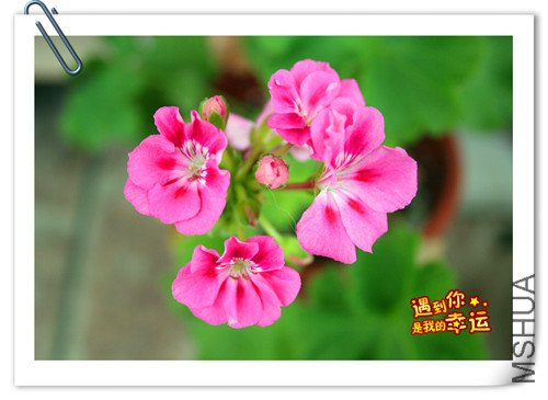 ��Ƭ 004_����.jpg