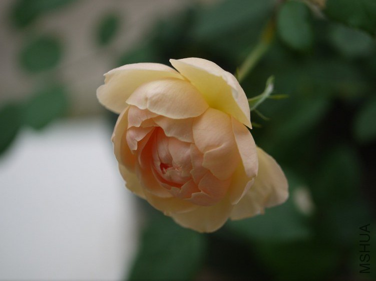 P1020437.JPG