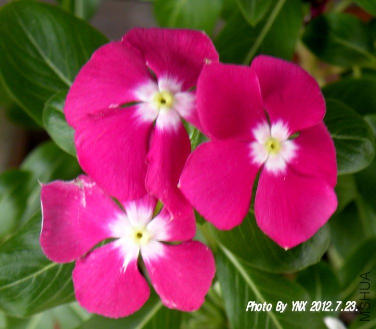 2012.7.23. 004_conew1.jpg