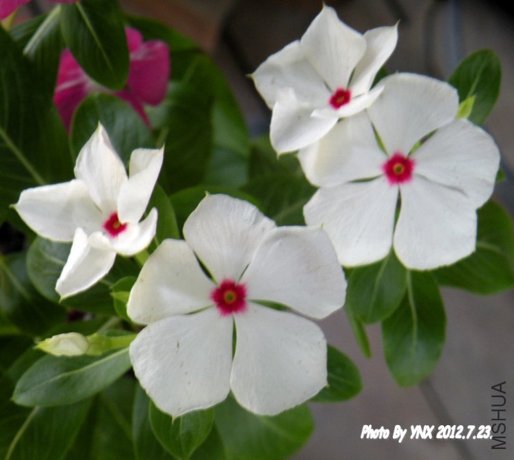 2012.7.23. 003_conew1.jpg