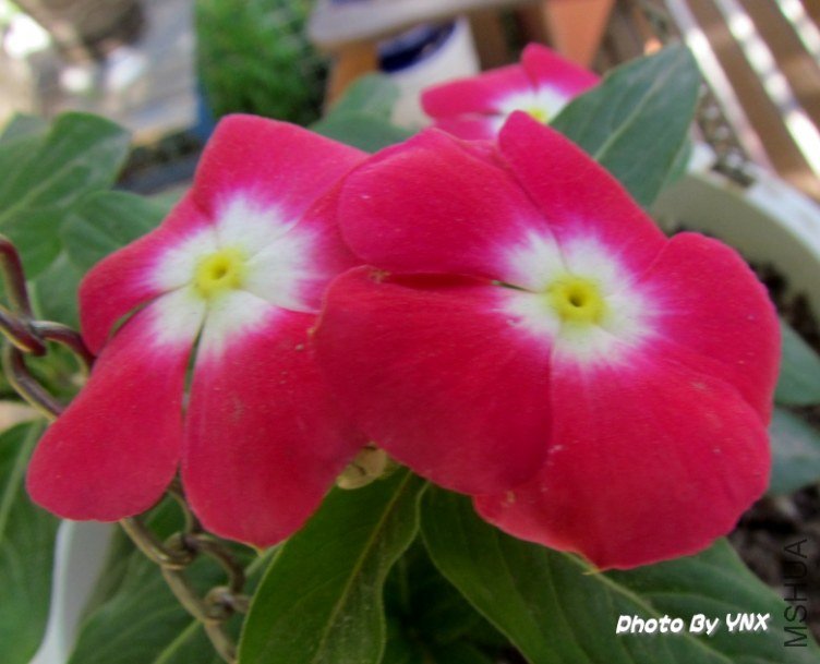 2011.5.12 045_conew1.jpg