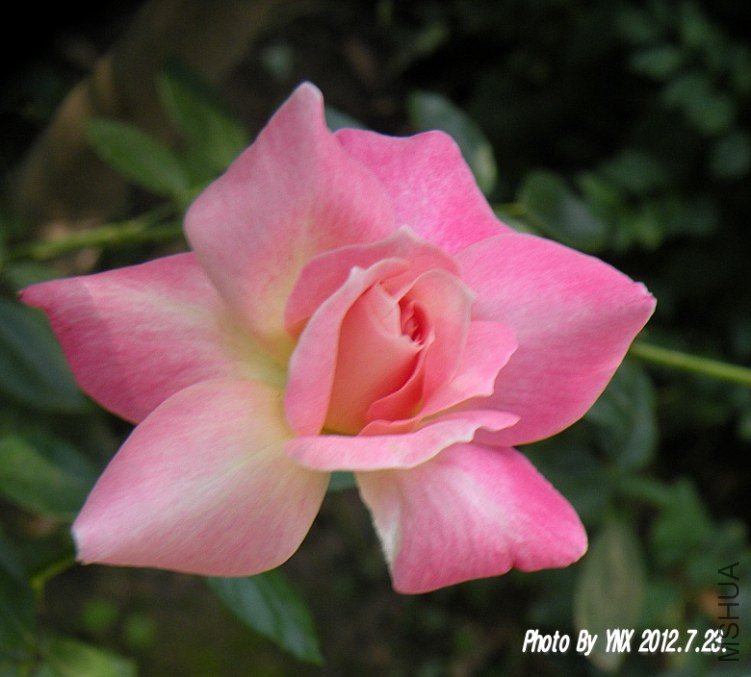 2012.7.23. 027_conew1.jpg