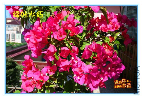 ��Ƭ 038_����.jpg