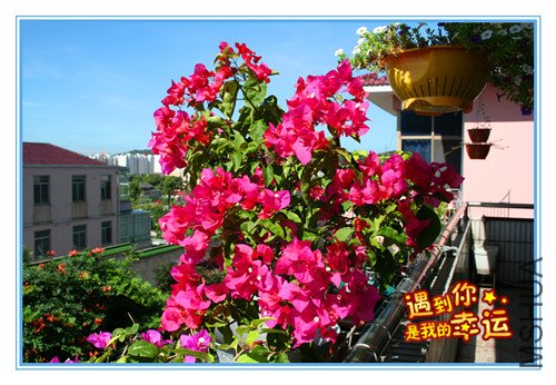 ��Ƭ 033_����M.jpg