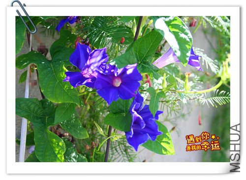 ��Ƭ 123_����.jpg