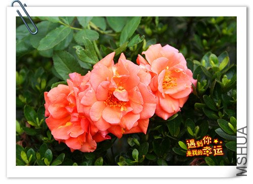 ��Ƭ 063_����.jpg