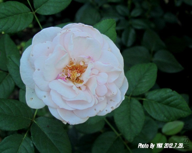 2012.7.29. 011_conew1.jpg