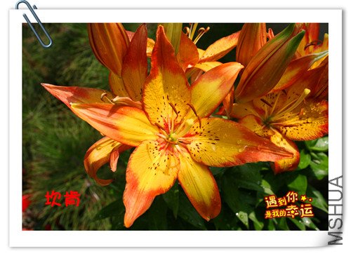 ��Ƭ 003_����.jpg