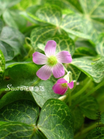 ������ ��.jpg