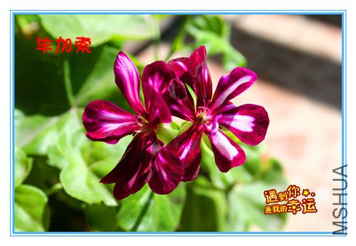 ��Ƭ 047_����M.jpg