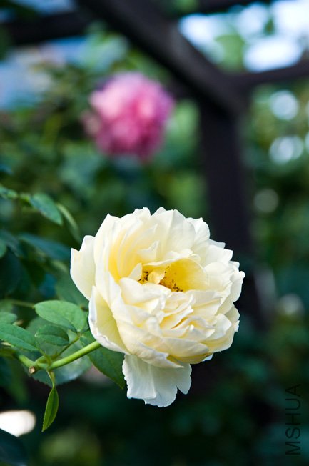 DSC_0073.JPG