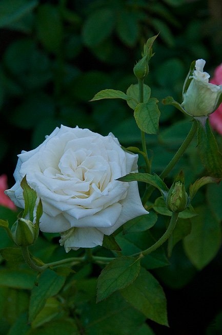 DSC_0031.JPG