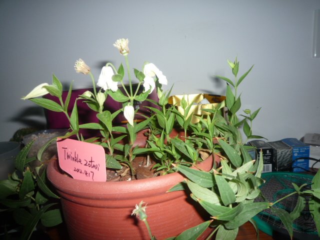 P1060057.JPG