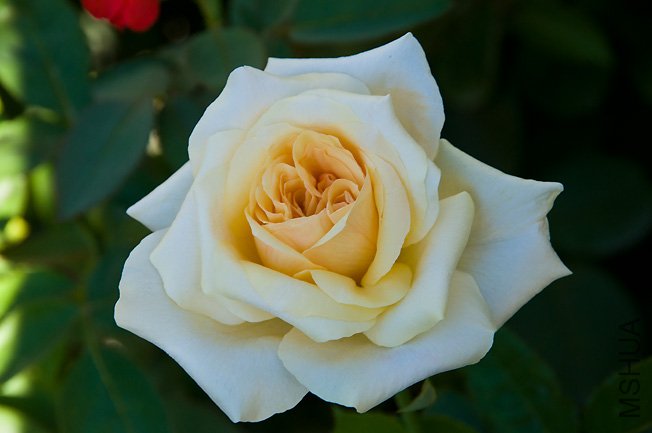DSC_0094.JPG