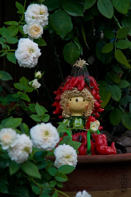DSC_0010b.jpg