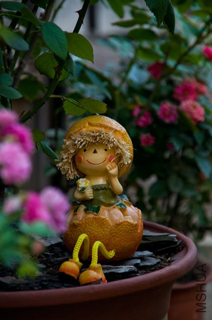 DSC_0011b.jpg
