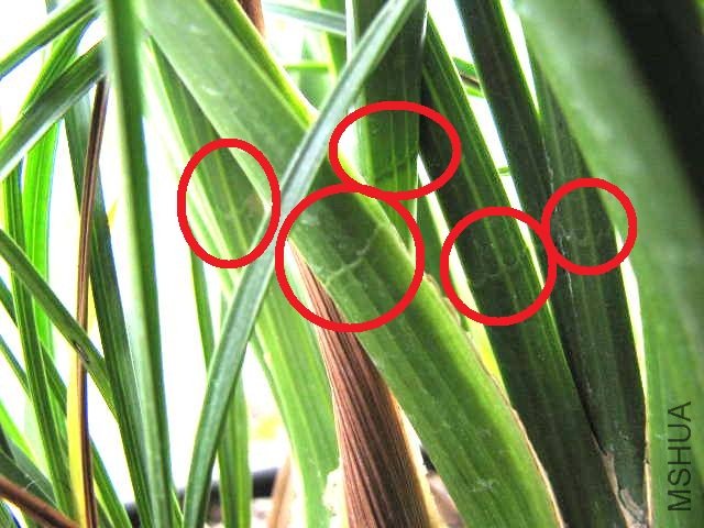 2006122223062556.jpg