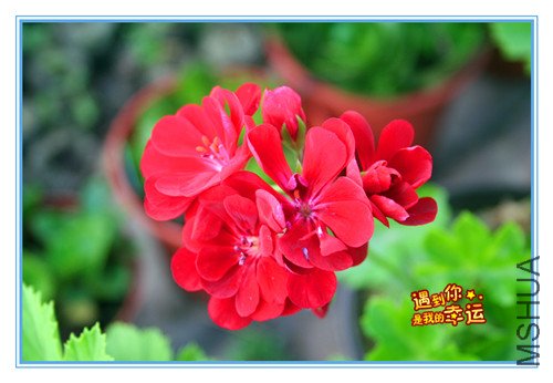 ��Ƭ 061_����.jpg