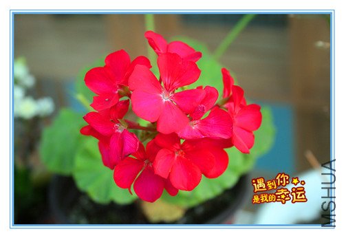 ��Ƭ 058_����.jpg