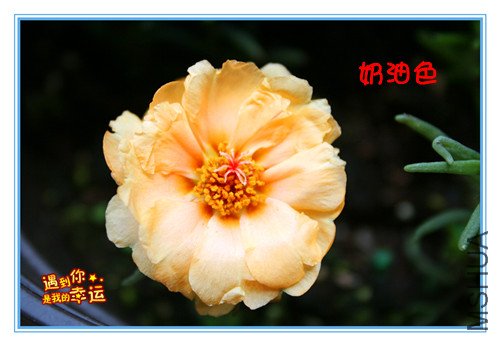 ��Ƭ 021_����.jpg